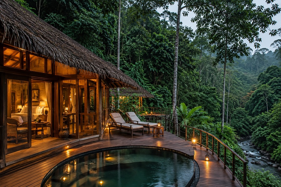 Luxury Forest Retreat Reviews 